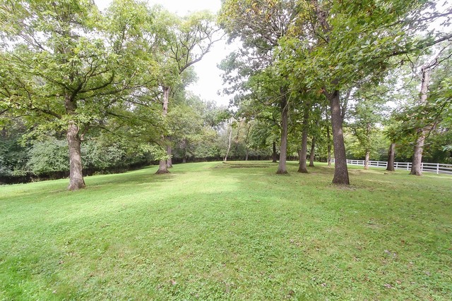 591 Plum Tree Road Barrington Hills, IL 60010 - Photo 23 of 30 a view of a tree in a park