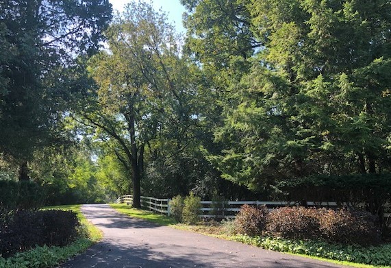 591 Plum Tree Road Barrington Hills, IL 60010 - Photo 28 of 30 a street view with yard