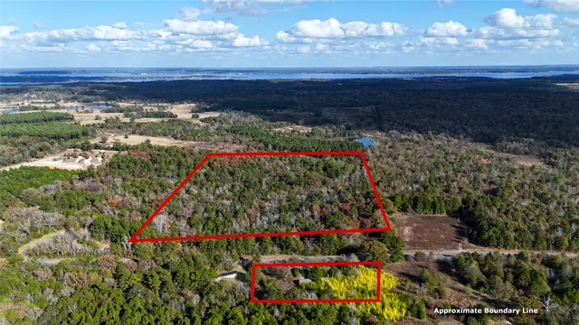 a view of a lot of flowers