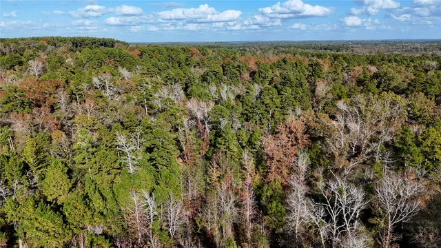 $197,500 | 5410 Farm To Market Road 314, Larue, TX 75770