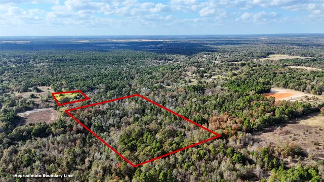 a view of a pathway with an umbrella