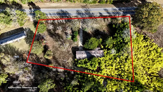 a view of a garden with a tree