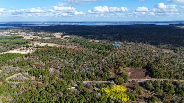 a view of a city with lots of trees