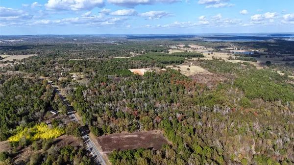 a view of a city with lots of trees