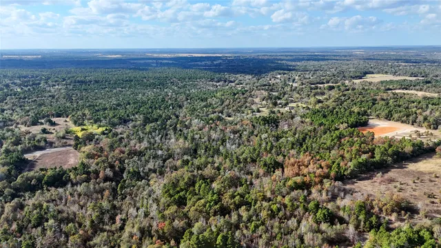 a view of a house with a tree