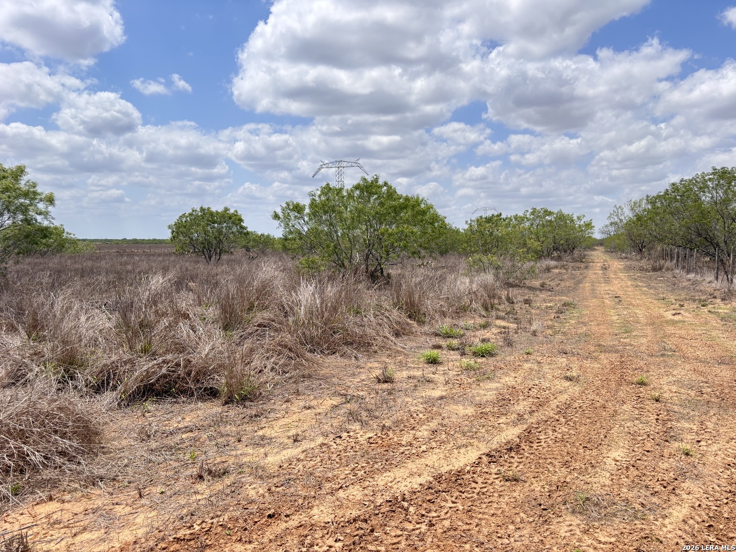 0 County Road 239 Concepcion, TX 78349 - Photo 13 of 38 a view of a dry yard with lots of green space
