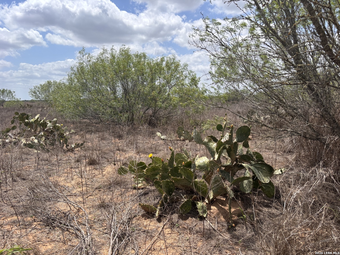 0 County Road 239 Concepcion, TX 78349 - Photo 14 of 38 a view of a yard