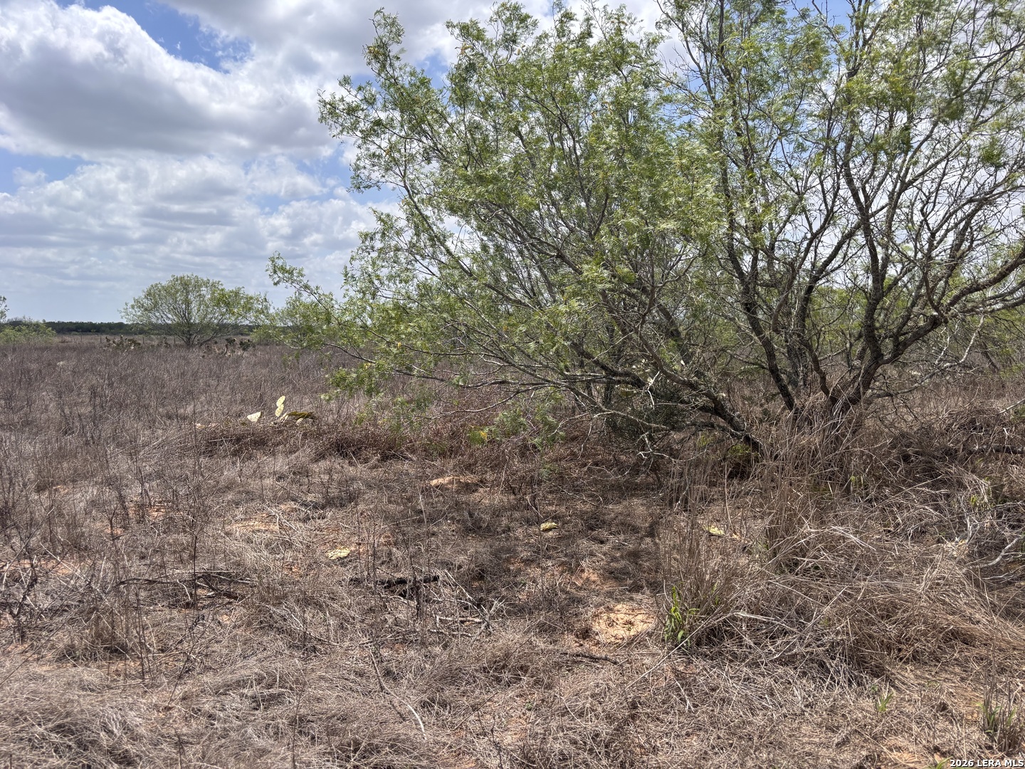 0 County Road 239 Concepcion, TX 78349 - Photo 15 of 38 a view of a yard