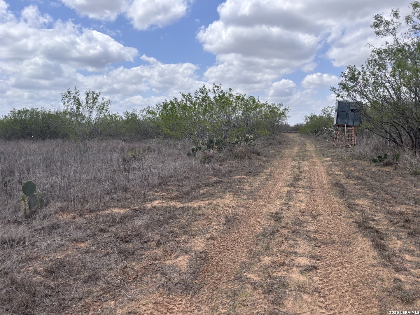 0 County Road 239 Concepcion, TX 78349 - Photo 16 of 38 a view of a yard
