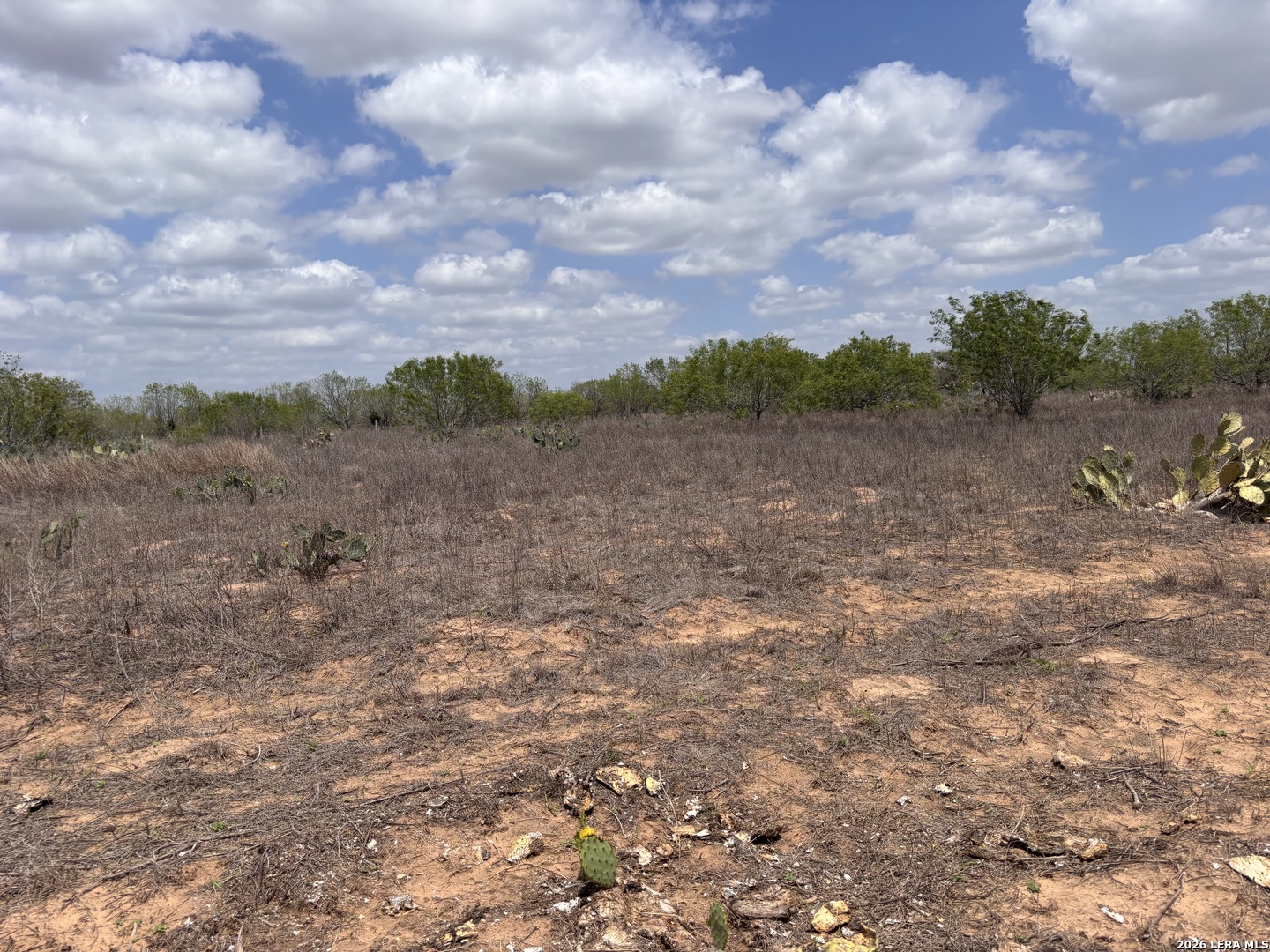 0 County Road 239 Concepcion, TX 78349 - Photo 25 of 38 a view of mountain with green field