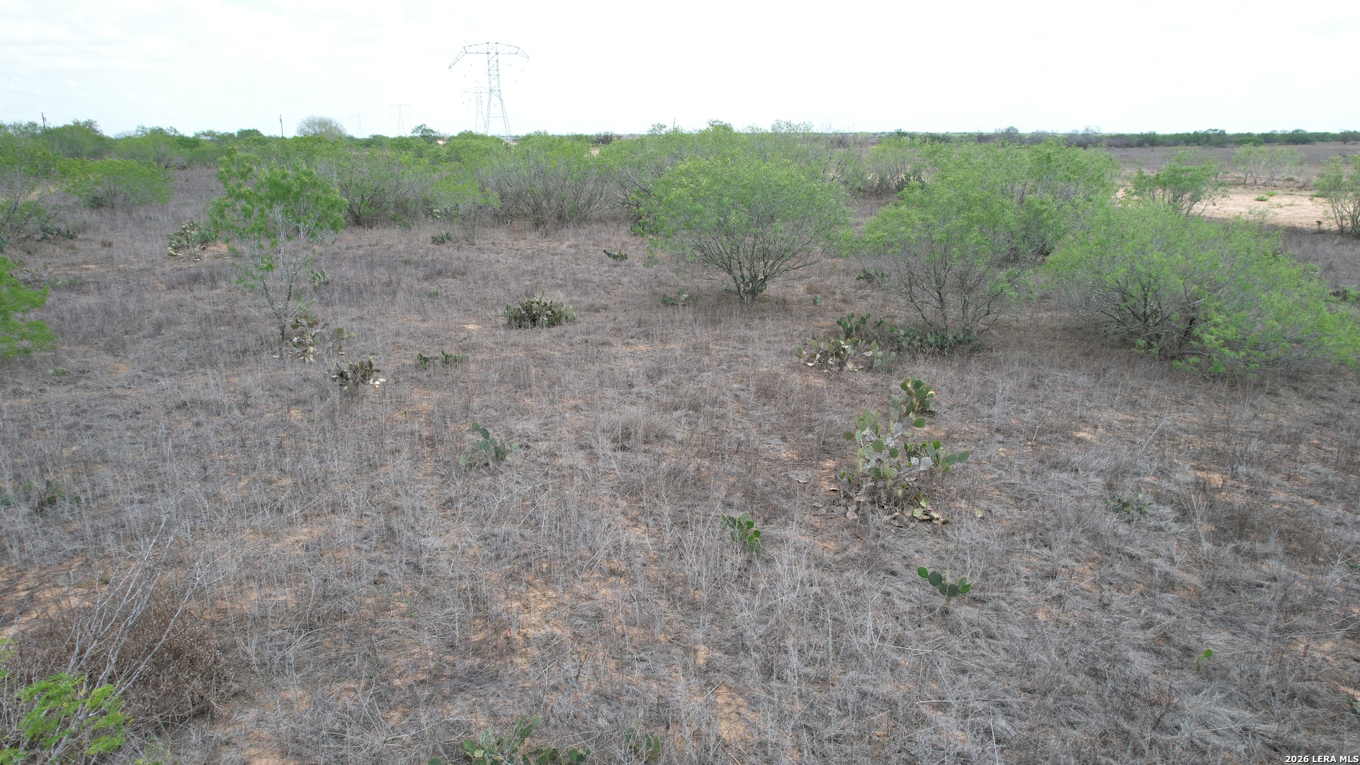 0 County Road 239 Concepcion, TX 78349 - Photo 37 of 38 a view of a forest with trees in the background