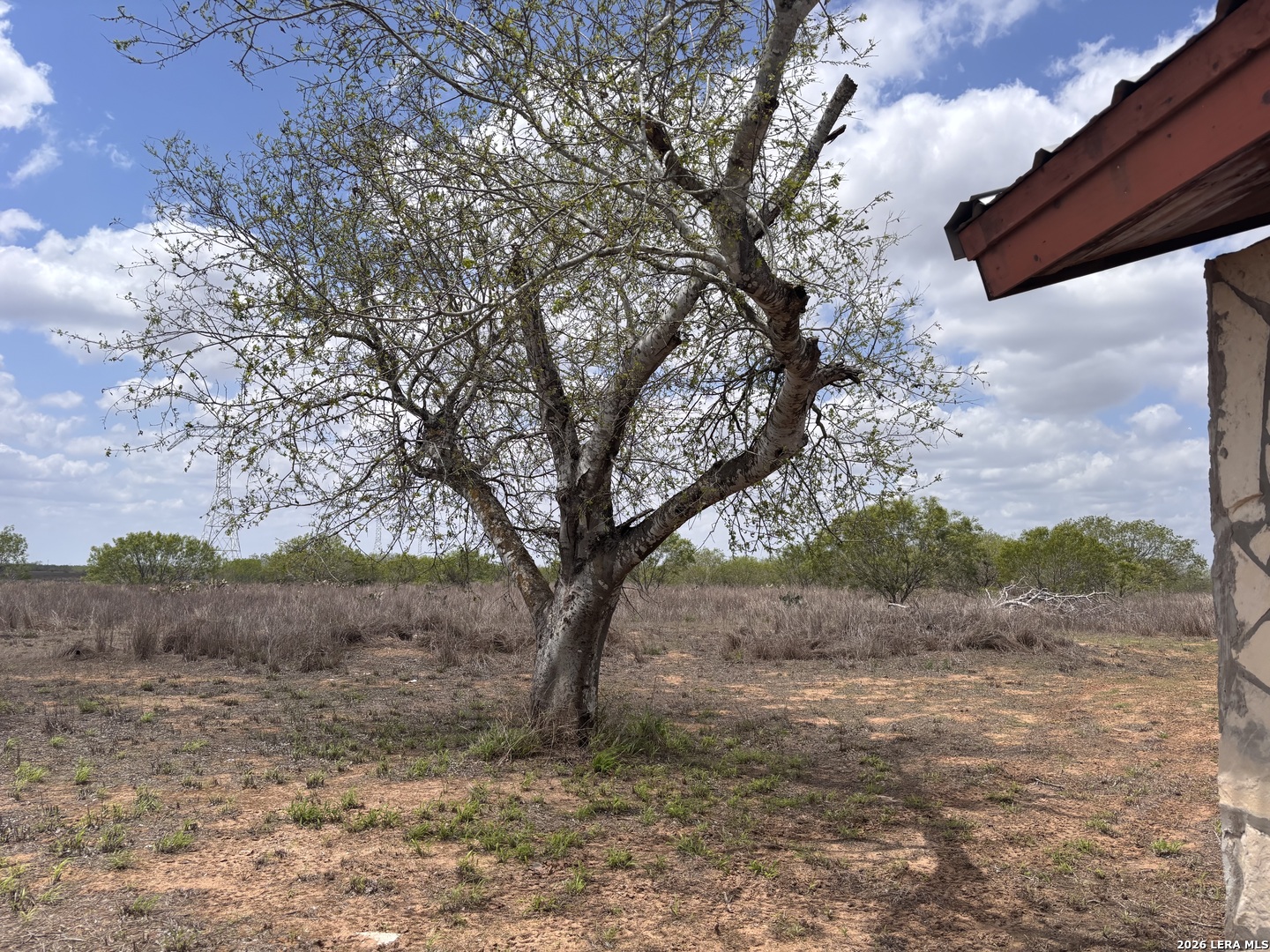 0 County Road 239 Concepcion, TX 78349 - Photo 9 of 38 a view of a dry yard with trees