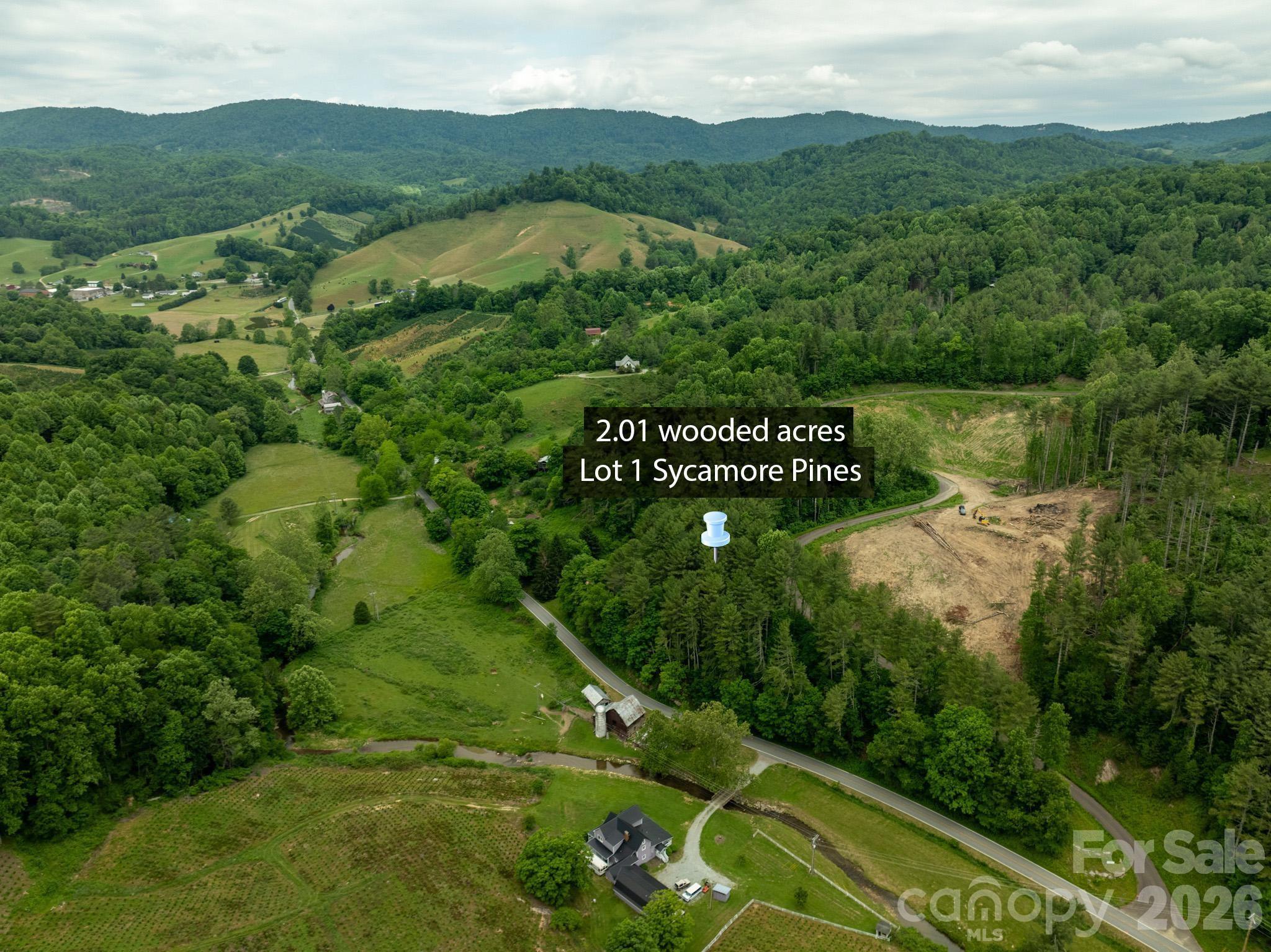Tbd Tbd Sycamore Road Vilas, NC 28692 - Photo 2 of 38