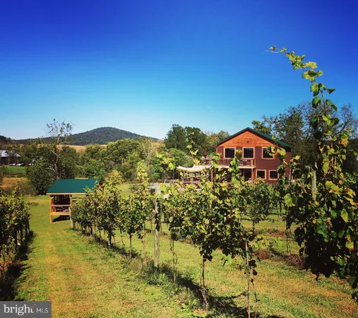 $980,000 | 2110 Quicksburg Road, Quicksburg, VA 22847