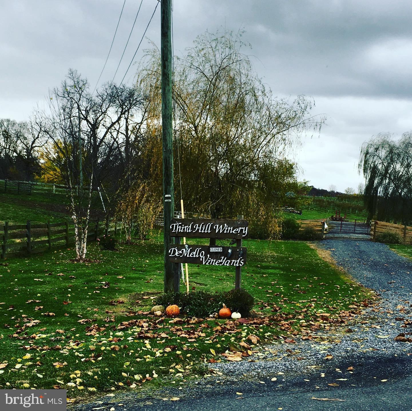 2110 Quicksburg Road Quicksburg, VA 22847 - Photo 14 of 60 a view of a park with large trees
