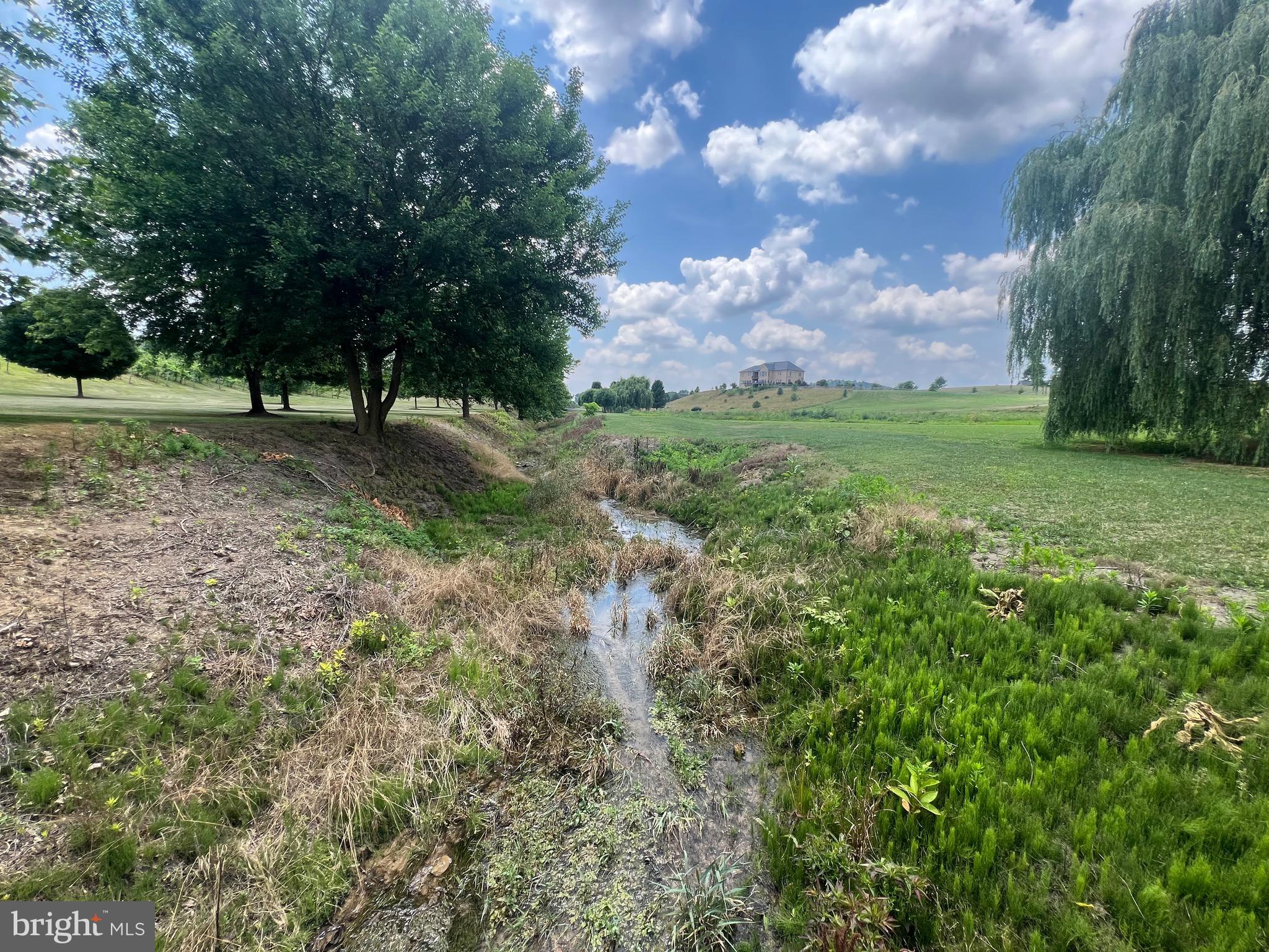 2110 Quicksburg Road Quicksburg, VA 22847 - Photo 33 of 60 a view of a tree with a yard