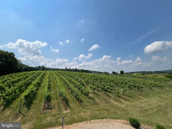 $980,000 | 2110 Quicksburg Road, Quicksburg, VA 22847