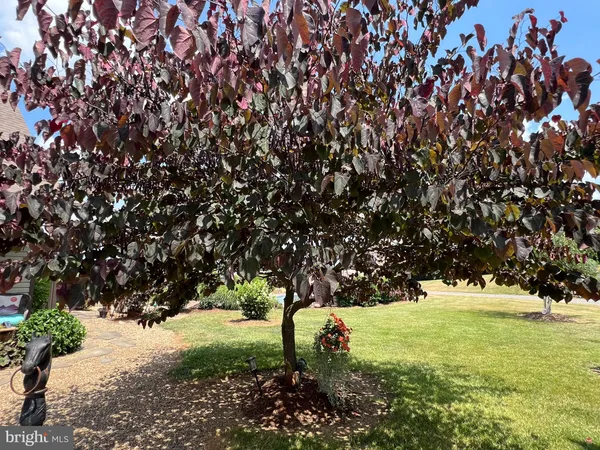 $980,000 | 2110 Quicksburg Road, Quicksburg, VA 22847