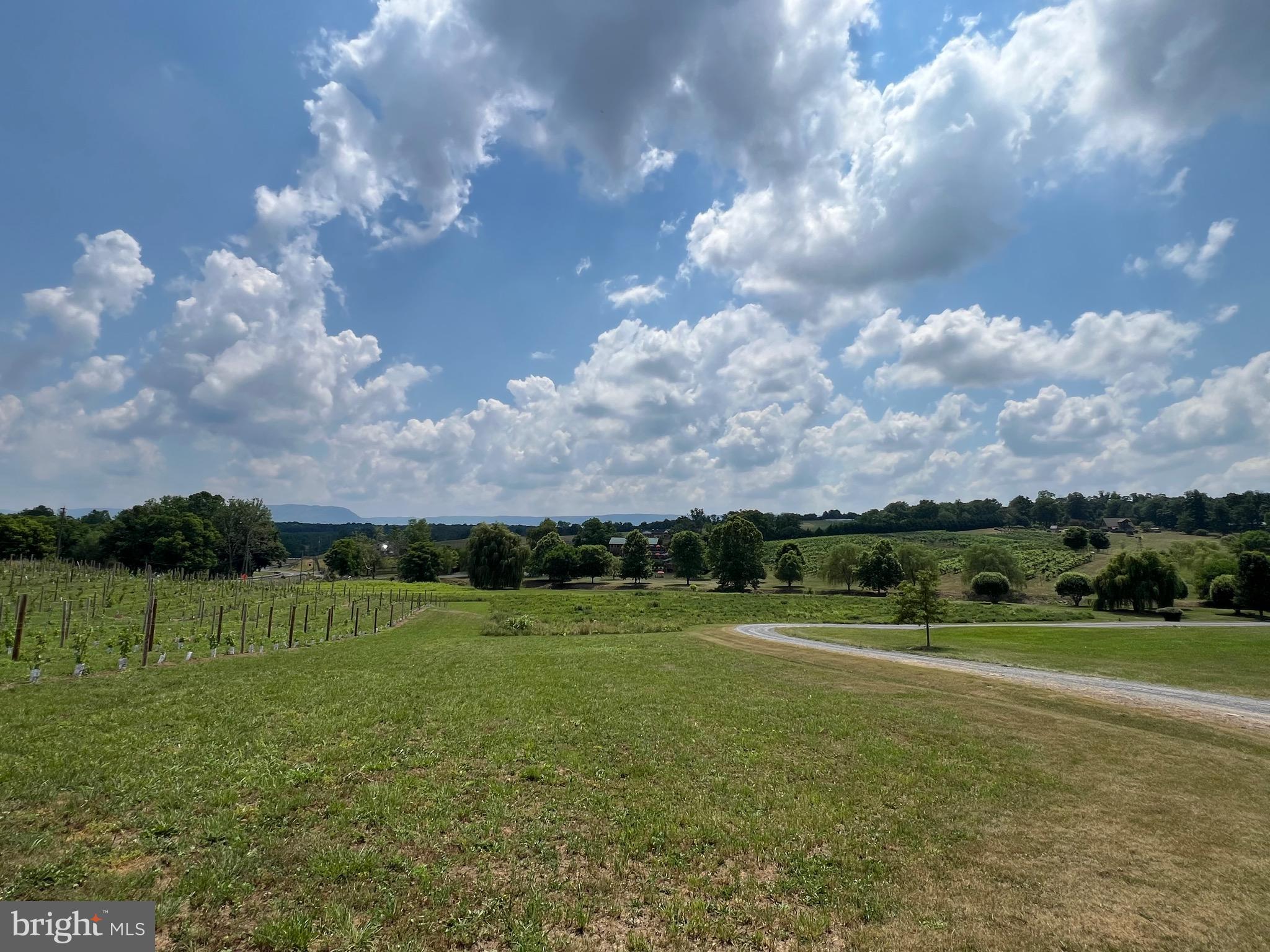 2110 Quicksburg Road Quicksburg, VA 22847 - Photo 49 of 60 a view of a golf course with a lake