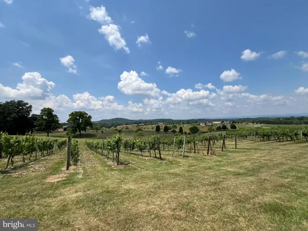 $980,000 | 2110 Quicksburg Road, Quicksburg, VA 22847