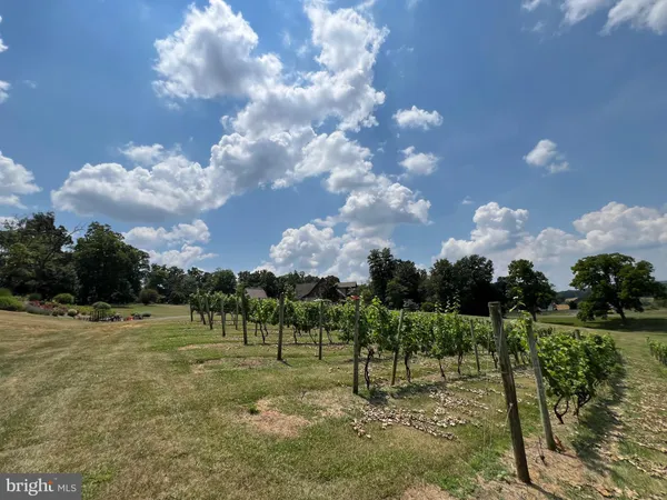 $980,000 | 2110 Quicksburg Road, Quicksburg, VA 22847