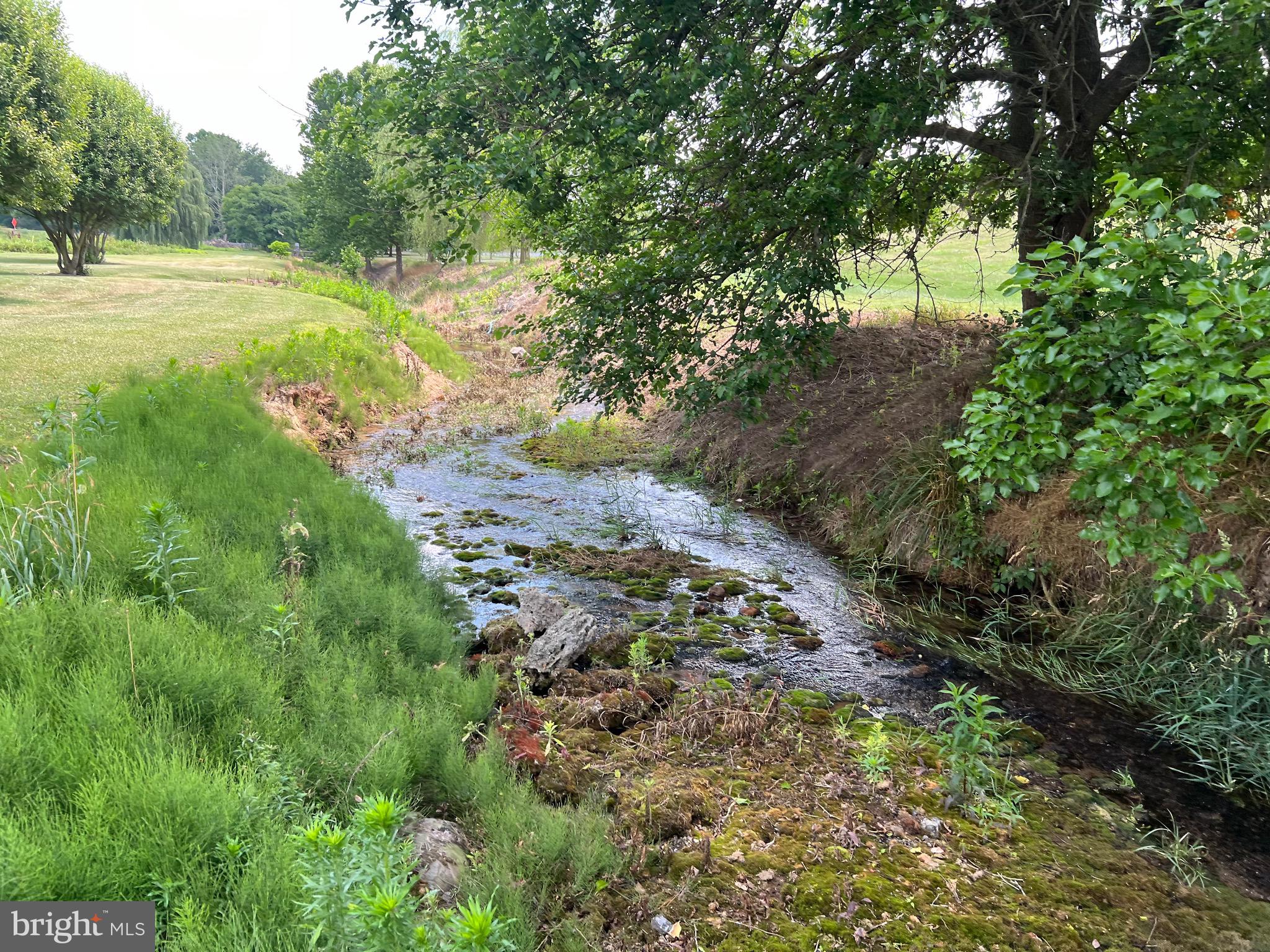 2110 Quicksburg Road Quicksburg, VA 22847 - Photo 50 of 60 a view of a garden with a tree