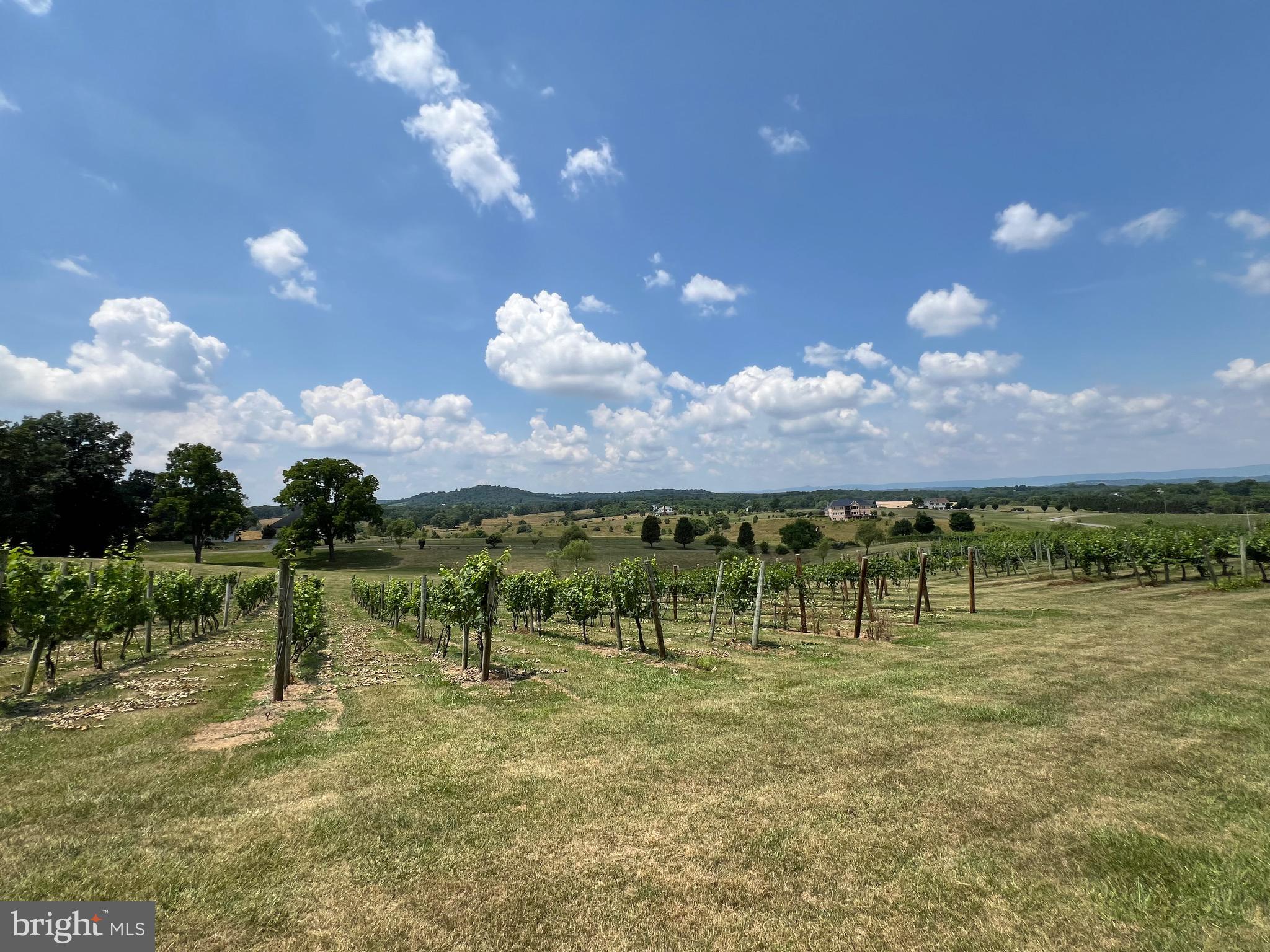 2110 Quicksburg Road Quicksburg, VA 22847 - Photo 56 of 60 a view of a lake with houses in the back