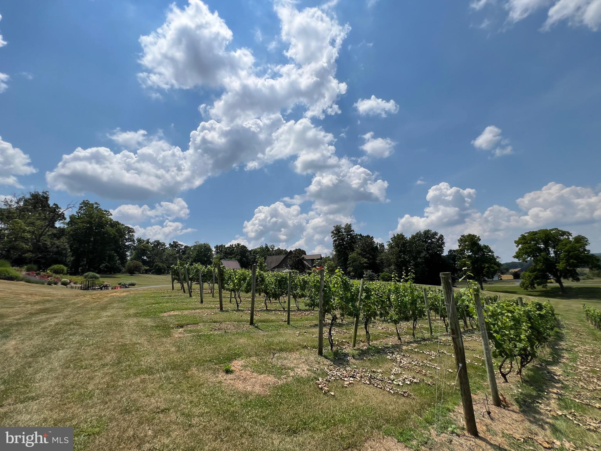 2110 Quicksburg Road Quicksburg, VA 22847 - Photo 57 of 60