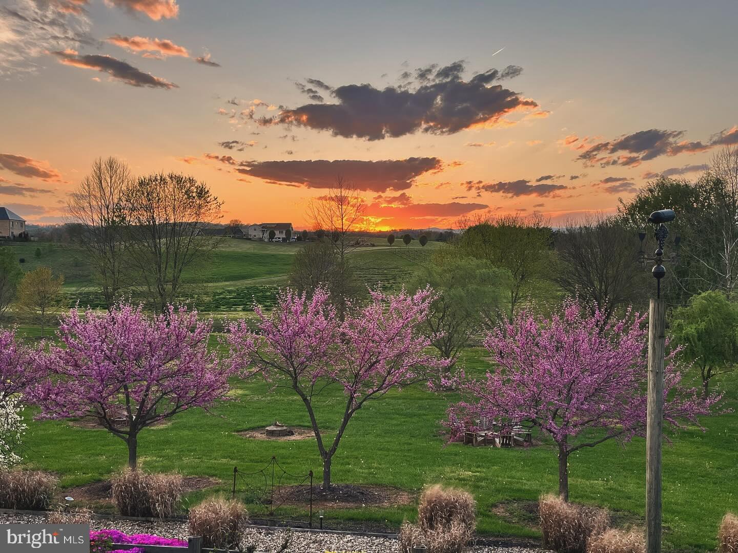 2110 Quicksburg Road Quicksburg, VA 22847 - Photo 6 of 60 a view of a lake with a house in background