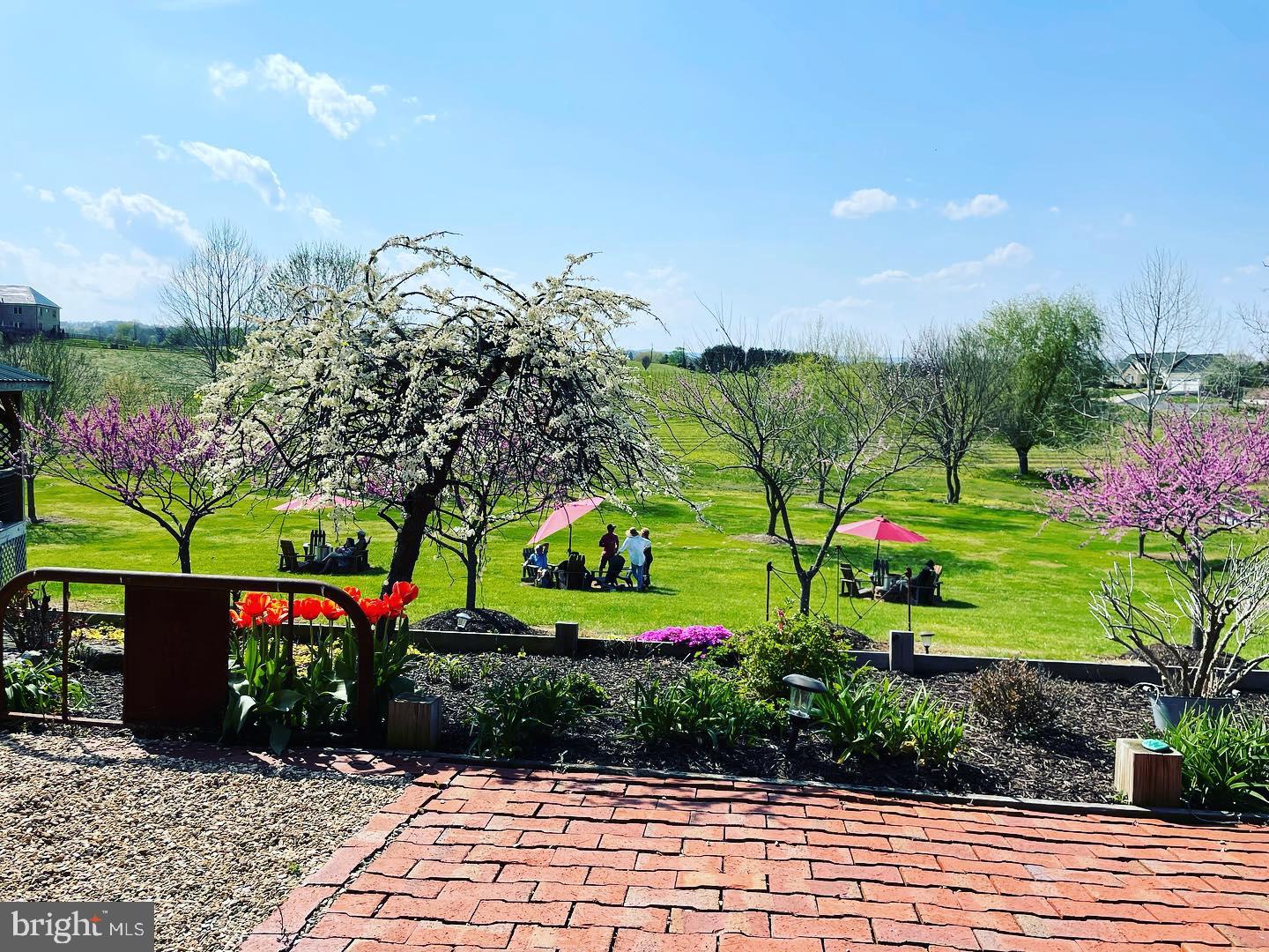 2110 Quicksburg Road Quicksburg, VA 22847 - Photo 9 of 60