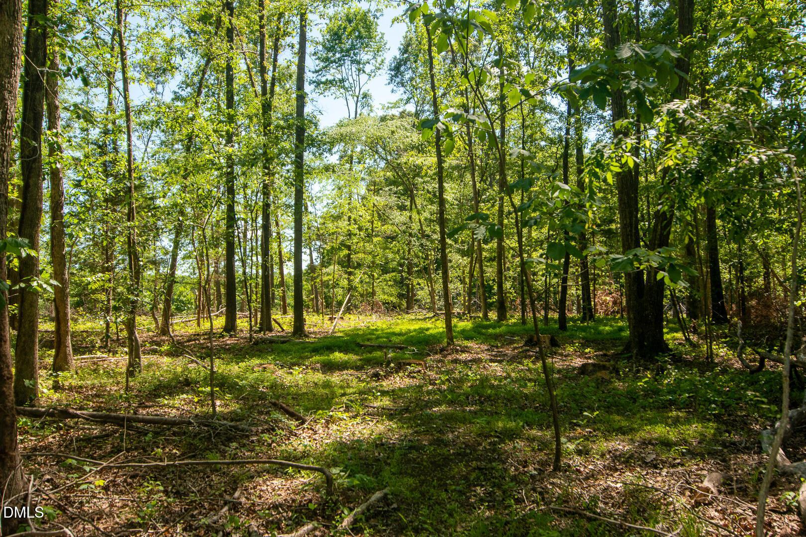 201 Briggs Road Hurdle Mills, NC 27541 - Photo 39 of 43