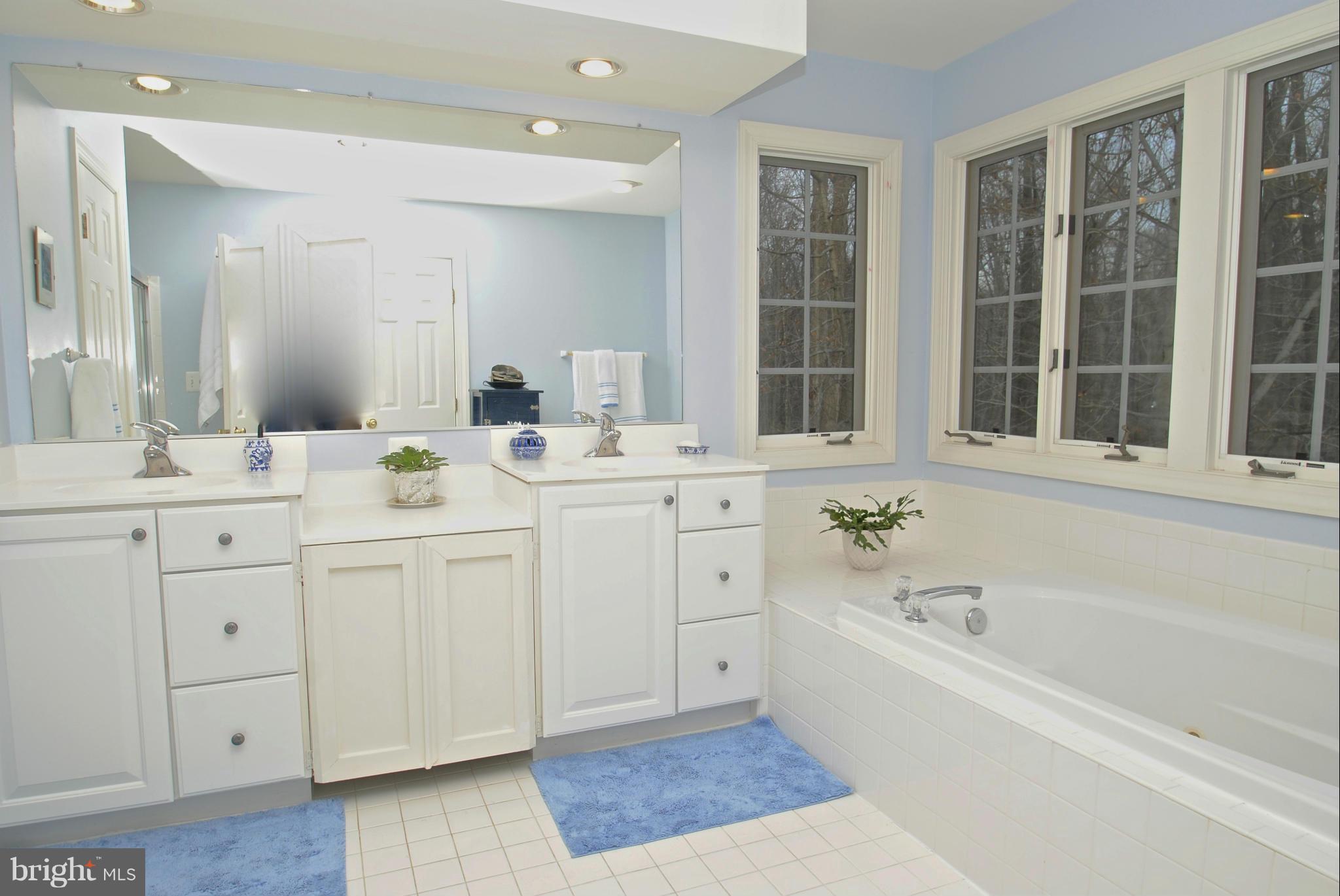 201 Ladybug Way Edgewater, MD 21037 - Photo 14 of 30 Bath (Master)