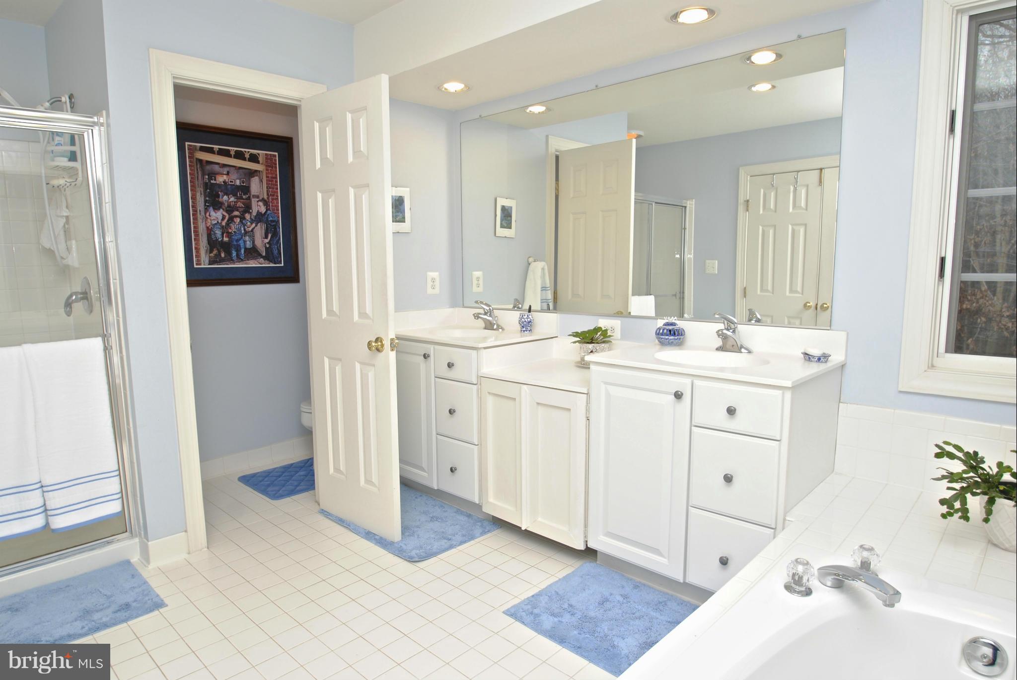 201 Ladybug Way Edgewater, MD 21037 - Photo 15 of 30 Bath (Master)
