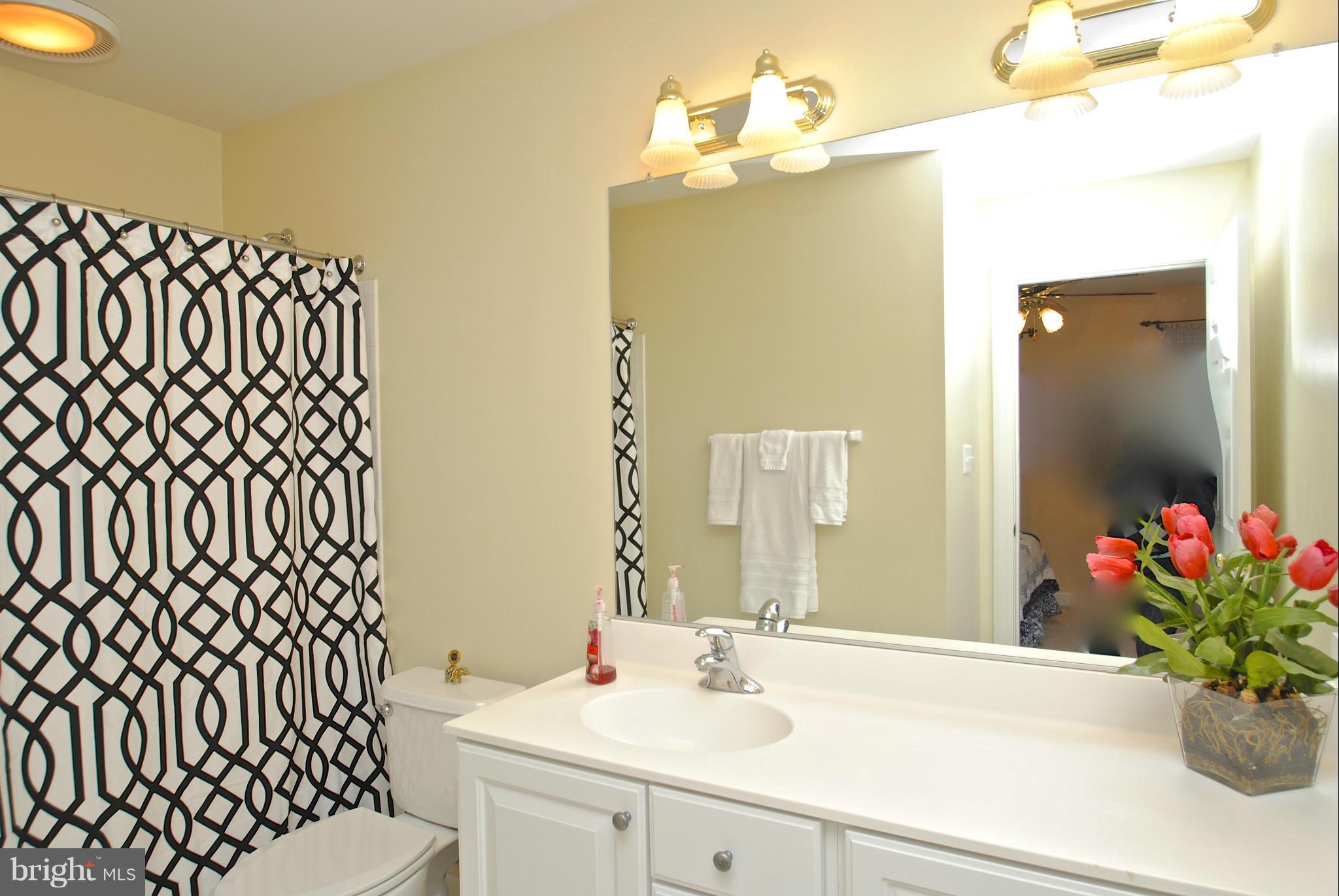 201 Ladybug Way Edgewater, MD 21037 - Photo 19 of 30 4th bedroom en suite