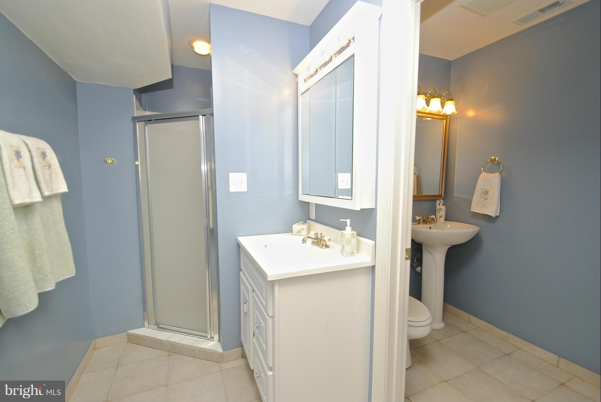 201 Ladybug Way Edgewater, MD 21037 - Photo 27 of 30 Basement full bath has two sinks