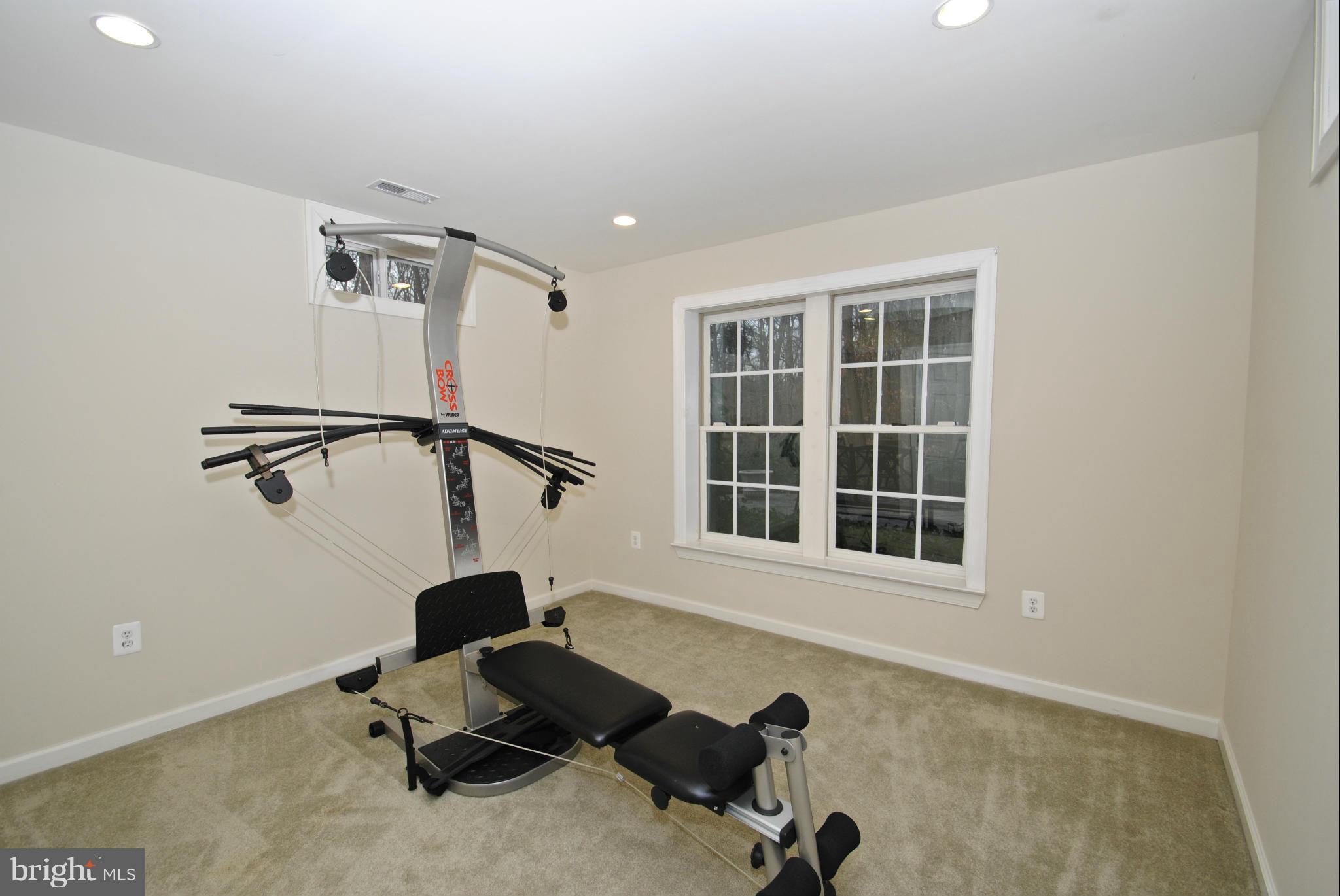 201 Ladybug Way Edgewater, MD 21037 - Photo 28 of 30 Basement 7th bedroom/bonus room/fitness center