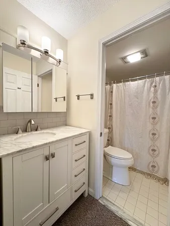 a bathroom with a double vanity sink mirror and toilet