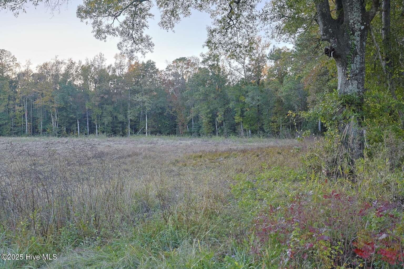 854 Creek Road Whiteville, NC 28472 - Photo 4 of 6 Kozak.4