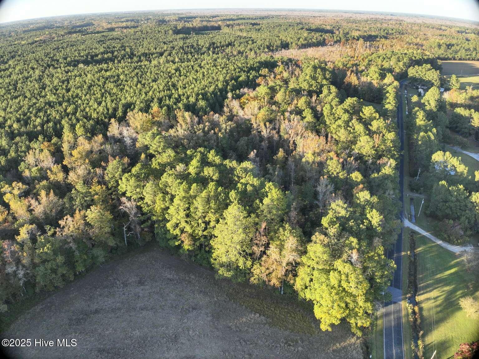 854 Creek Road Whiteville, NC 28472 - Photo 5 of 6 Kozak.5