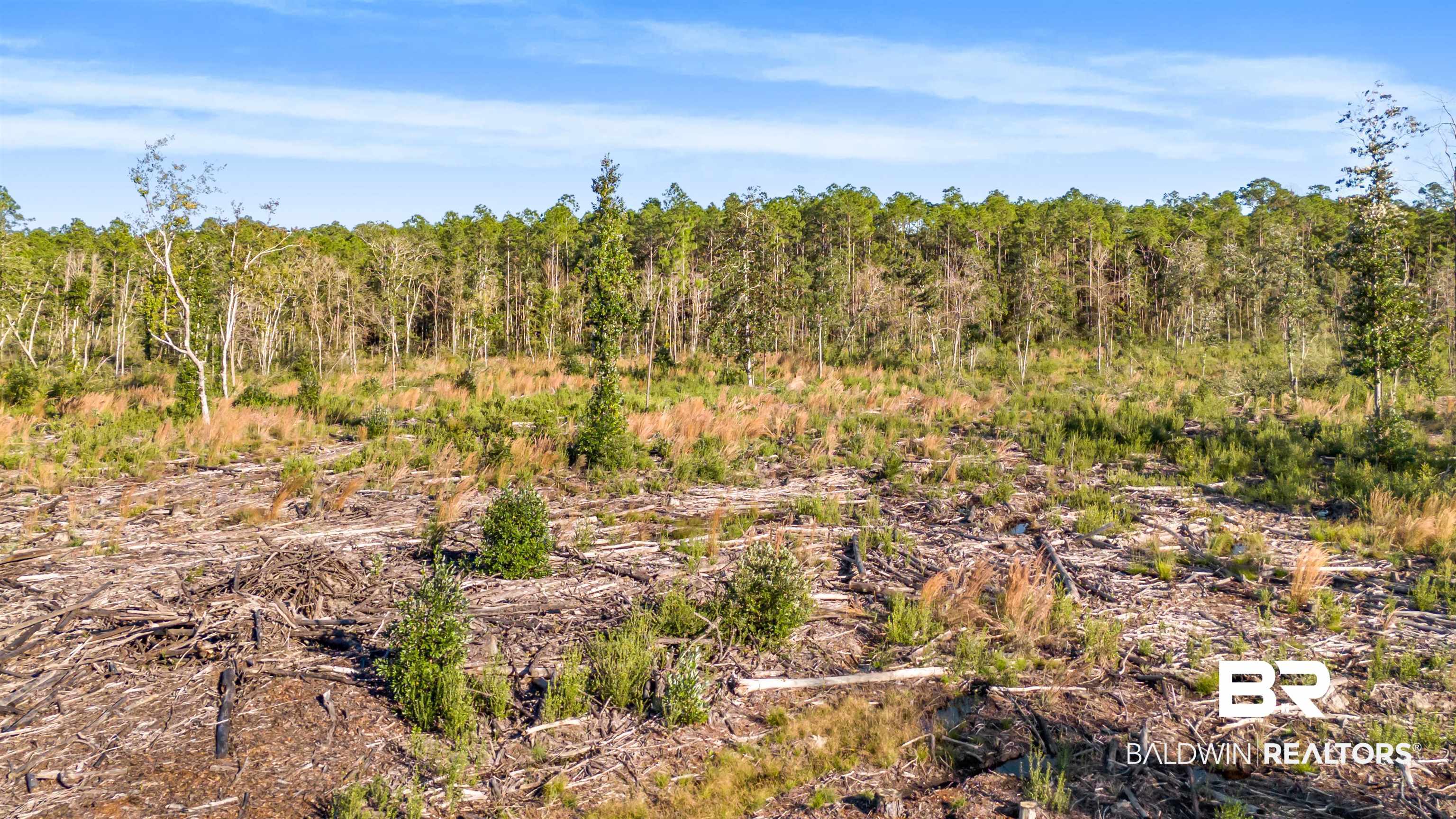 0 County Road 112 Robertsdale, AL 36567 - Photo 30 of 33 View of nature