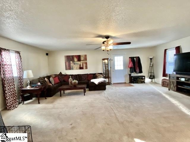 176 Dalton Hill Road Pickens, SC 29671 - Photo 17 of 23