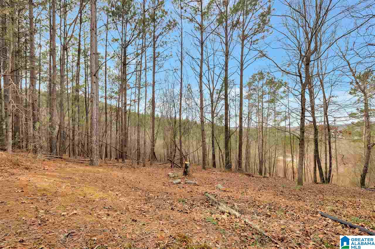 2109 Constellation Avenue Alpine, AL 35014 - Photo 8 of 44