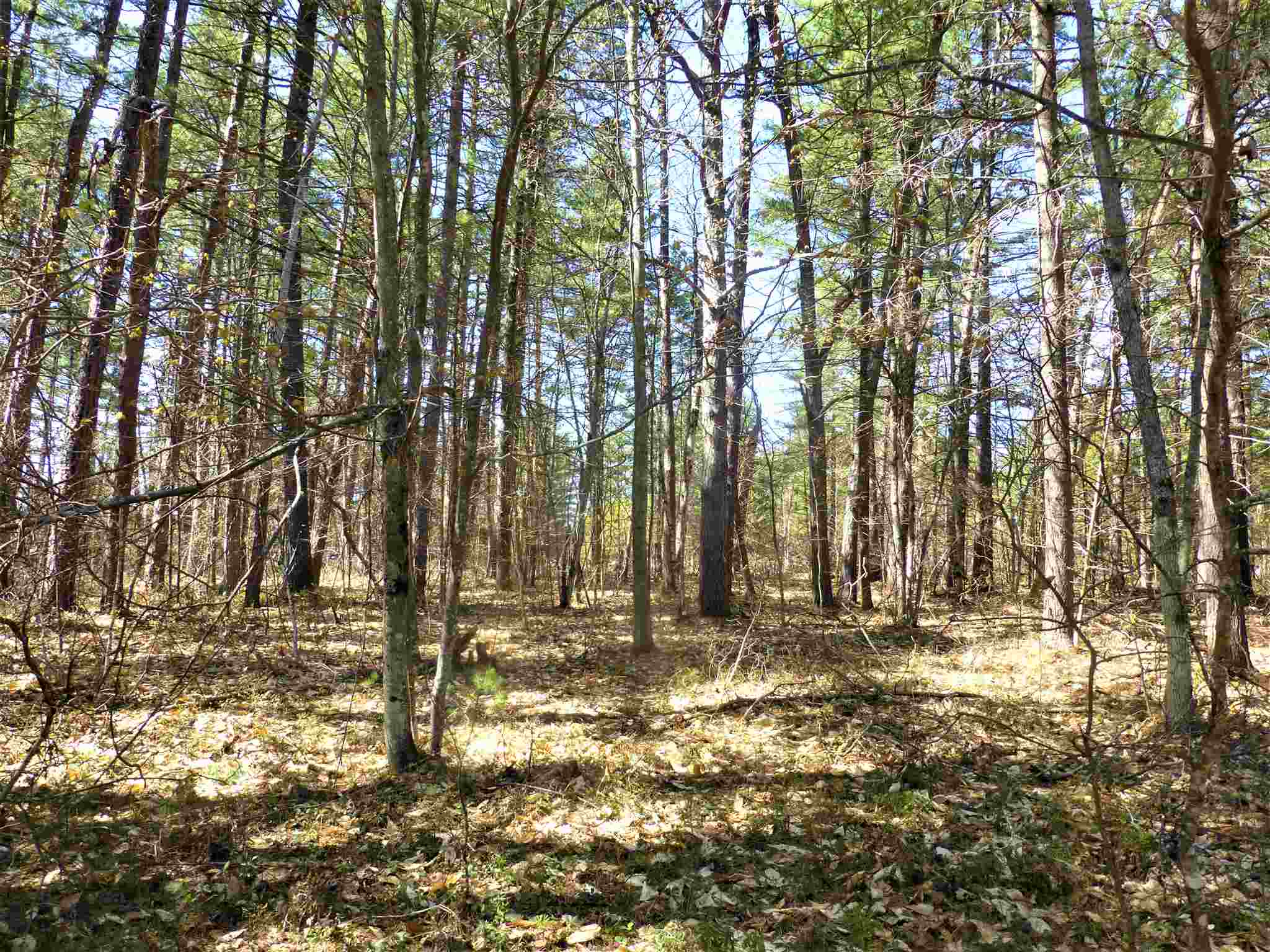 8 Pine Lane Road, Unit 75 Center Ossipee, NH 03814 - Photo 3 of 11 Gallery Image 3