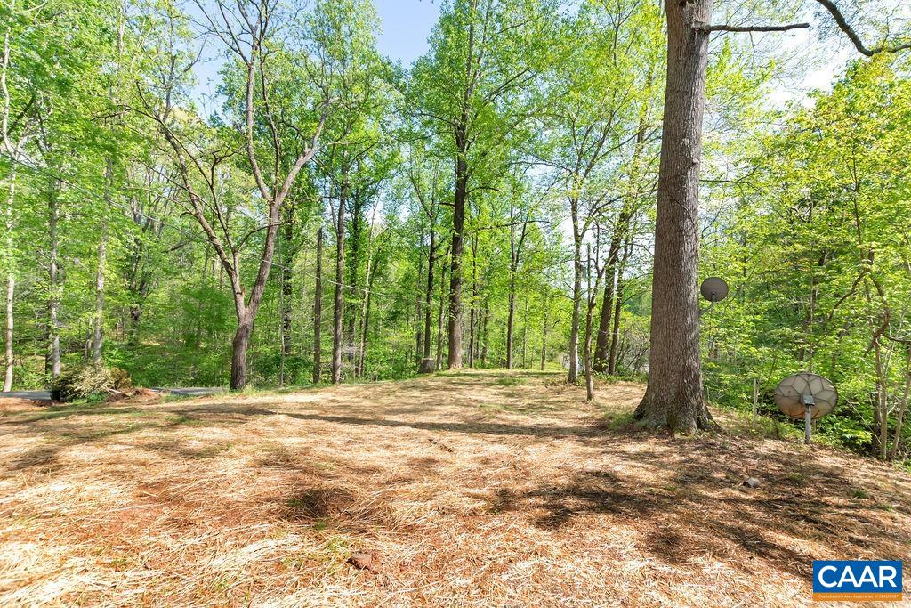 119 Miller School Road Charlottesville, VA 22903 - Photo 37 of 42 Gallery Image 37