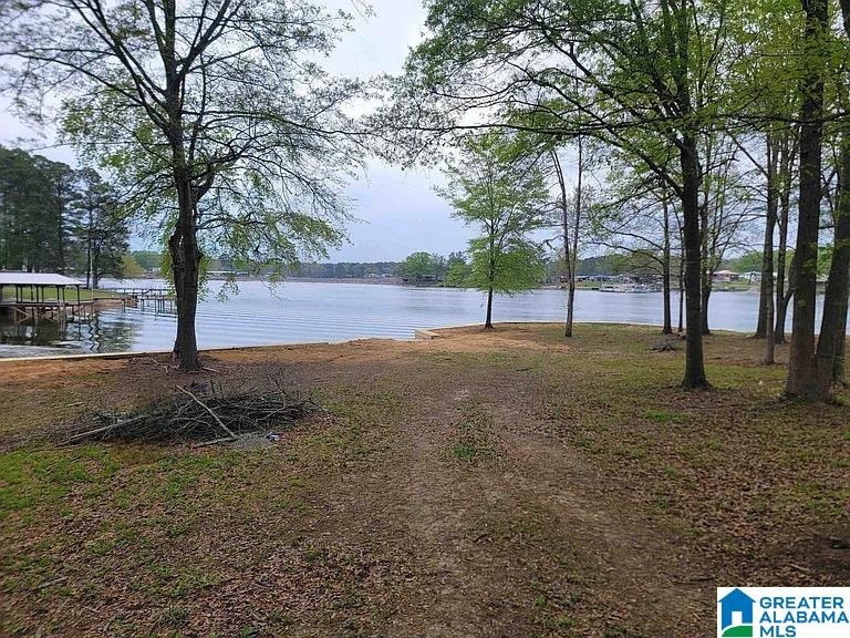 95 Rivercrest Lane Vincent, AL 35178 - Photo 14 of 30
