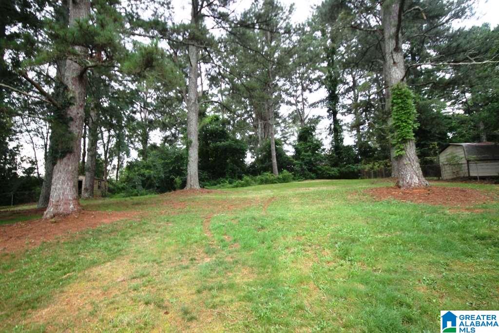 1312 Montevallo Road Weaver, AL 36277 - Photo 2 of 31 Gallery Image 2