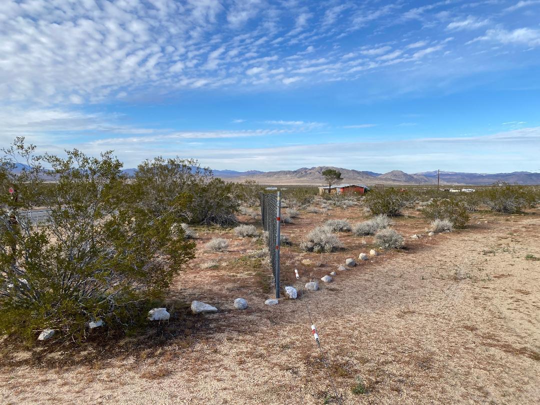 5457 Larrea Road Johnson Valley, CA 92285 - Photo 17 of 22 a view of a dry yard with wooden fence