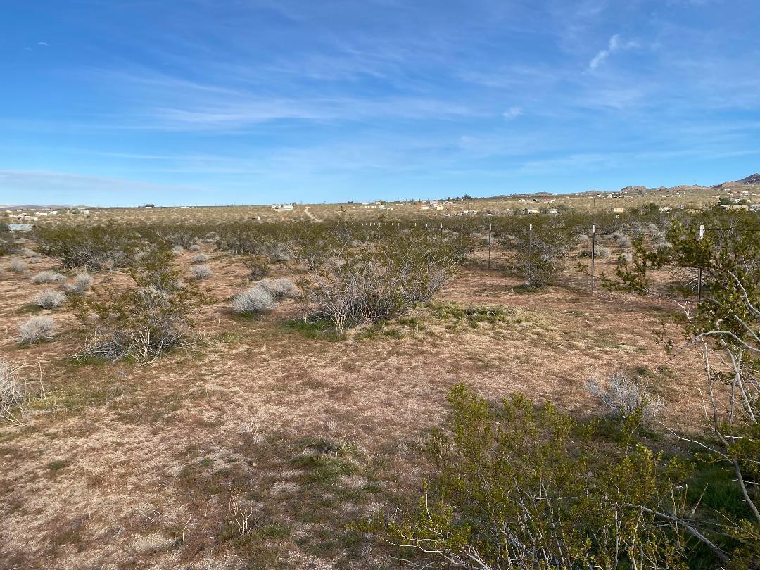 5457 Larrea Road Johnson Valley, CA 92285 - Photo 19 of 22