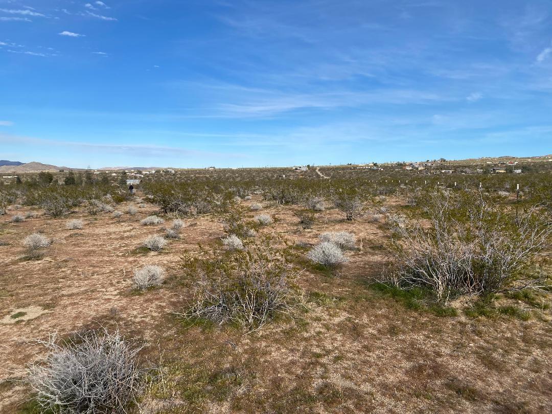 5457 Larrea Road Johnson Valley, CA 92285 - Photo 21 of 22 an aerial view of residential houses with outdoor space