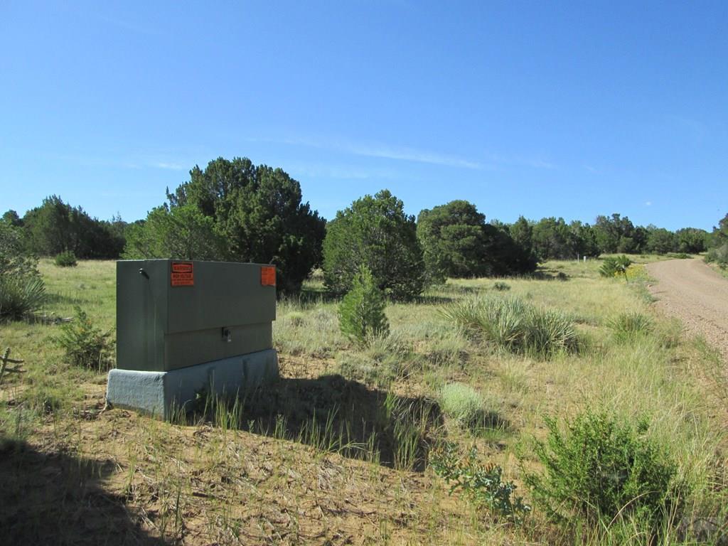 Lot 142 River Ridge Ranch Walsenburg, CO 81089 - Photo 1 of 1